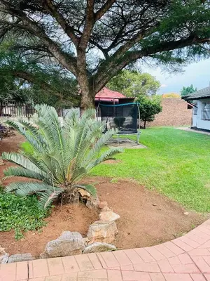 a palm tree in a yard next to a house at Inspire living home in Kempton Park