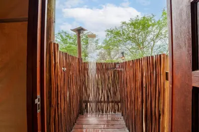 an entrance to a fence with a basketball goal at Lion Tree Top Lodge in Guernsey Nature Reserve