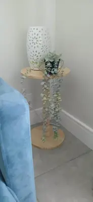 a plant on a wooden shelf with a vase at Munyaka in Midrand