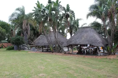a group of tables and straw huts with palm trees at Aurora Village in Polokwane