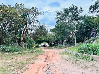 a dirt road with trees and a car on it at Tranquil Acres in Nelspruit