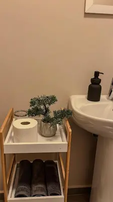 a bathroom with a sink and a plant on a shelf at The Ridge Modern Escape in Midrand