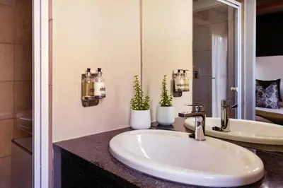 a bathroom sink with two potted plants on a counter at Akanani Apartments in Pretoria
