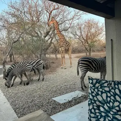 Chui House A Bush Retreat with Pool and AC Near Kruger Gate