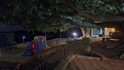 a playground in a park at night with a tree at Klipspringer Lodge in Nelspruit