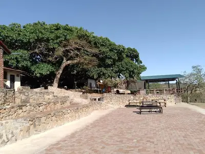 a stone wall with a picnic table and a tree at Klipspringer Lodge in Nelspruit
