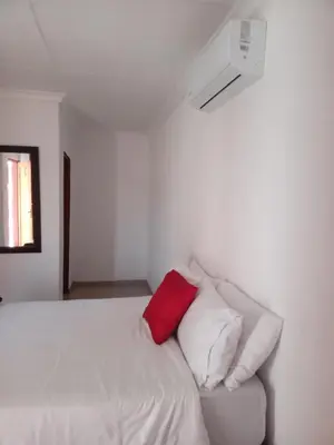 a bedroom with a white bed with a red pillow at Zindi Zindiza Lodge in Sandrivier