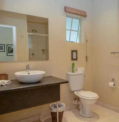 a bathroom with a toilet and a sink and a mirror at Seringa Lodge & Safaris in White River