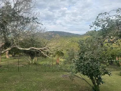 a giraffe standing in a field with trees at Mountain Dew Quest House in Noordkaap