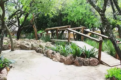 a garden with a wooden bridge and some plants at 63OnNyala Function lodge and spa venue in Pretoria
