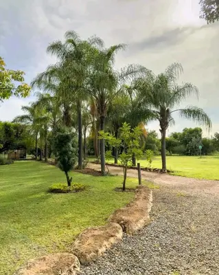 a park with palm trees and rocks at 63OnNyala Function lodge and spa venue in Pretoria