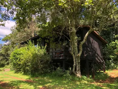 an old cabin in the woods with a tree at Zur Alten Mine in Graskop