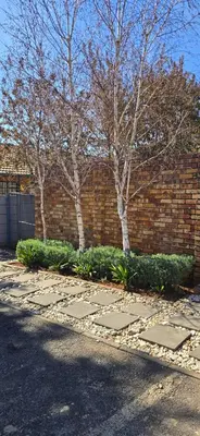 Gallery image of Middelburg Guest House in Middelburg