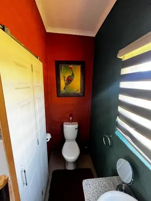 a bathroom with a toilet and a painting on the wall at Clarkys Bucketlist Dullstroom in Dullstroom