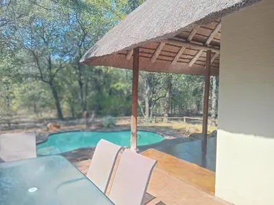 a table and chairs with an umbrella and a swimming pool at Iphupho Bush Lodge, Ba-Phalaborwa Golf Estate in Phalaborwa