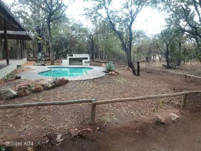 a small pool with a bench in a yard at Iphupho Bush Lodge, Ba-Phalaborwa Golf Estate in Phalaborwa