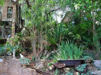 a garden with a bunch of plants and trees at Willow Inn in Nelspruit