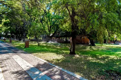 a tree in the middle of a green park at Phabema Guest House in Steelpoort