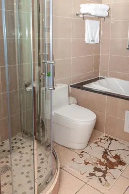 a bathroom with a toilet and a shower at Closer to Home Luxury Apartments in Midrand