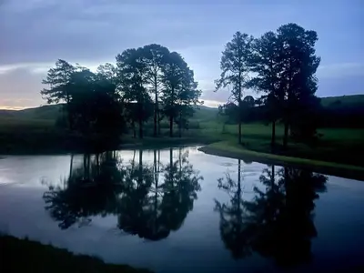 a reflection of trees in the water at dusk at Galil Farm in Crossroads
