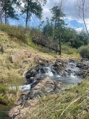 a creek on the side of a hill at Galil Farm in Crossroads