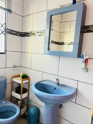 a bathroom with a blue sink and a toilet at The Barberton Nest in Barberton