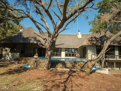 a house with a thatched roof and a tree at Kokobela Lodge in Phalaborwa
