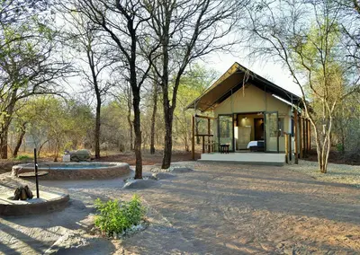 a small house in the middle of a forest at Jackalberry Ridge by Dream Resorts in Marloth Park