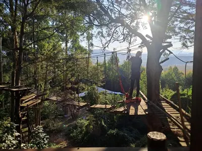 a man standing on a suspension bridge in a tree at Beach Island Graskop in Graskop