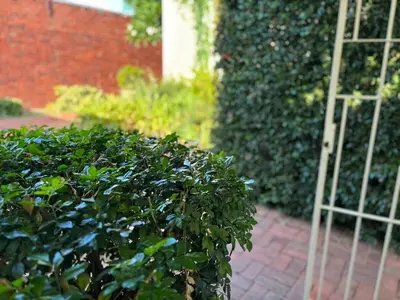 a green hedge with a wooden trellis in a garden at Load shedding free studio apartment in Pretoria