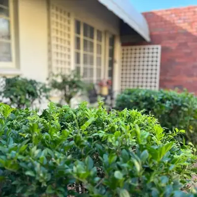 Load shedding free studio apartment