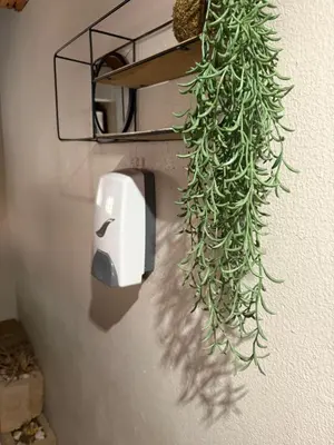 a plant hanging from a wall with a computer mouse at Goldeneye Chalet -Hidden Gem of Hartees in Hartbeespoort