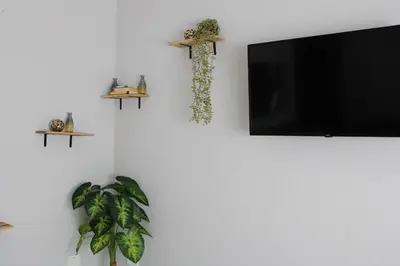 a flat screen tv hanging on a wall with a plant at Blue Orchid in Midrand