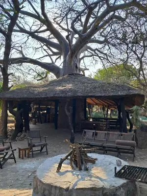 a pavilion in a park with benches and a tree at Thaba Bolayi Private Nature Reserve in Musina