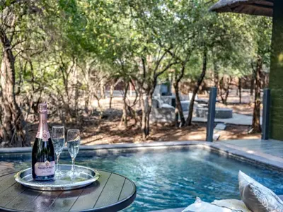 a bottle of wine on a table next to a swimming pool at Croc Orvyll's Kruger Lodge in Marloth Park