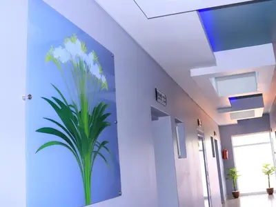 a mural of a plant on a wall in a hallway at The Empire Hotel in Vendaland