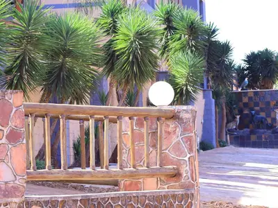 a wooden bench sitting in front of palm trees at The Empire Hotel in Vendaland