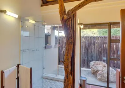 a bathroom with a glass shower with a tree branch at Zebula 1 Pela Lodge, 4-bedroom house in Warmbaths