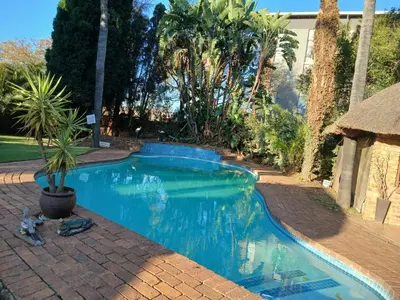 a swimming pool with a palm tree in a yard at Aero Ensuites- OR Tambo in Kempton Park