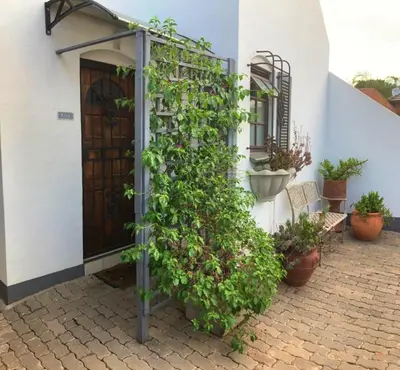 a house with a green ivy growing around a door at Montana Cape House in Pretoria