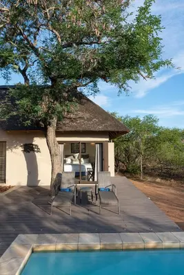 a house with a tree and a swimming pool at Villa Marula in Hoedspruit