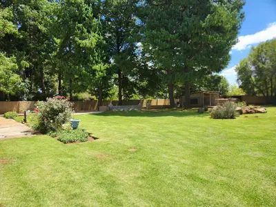 a yard with green grass and trees and a fence at Stonefly Cottages in Dullstroom