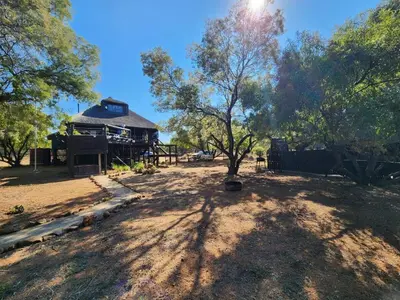 a tree in the middle of a yard with a house at Private Lodge at Vaalkop Dam Reserve in Beestekraal