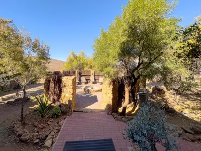 a brick walkway with trees and a stone wall at Buffalo Game Lodge in Warmbaths