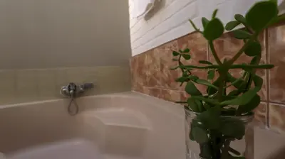 a bathroom with a potted plant next to a bath tub at Stay at Percy2 in Nelspruit