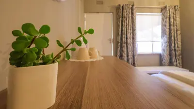 a wooden table with a potted plant on top of it at Stay at Percy2 in Nelspruit