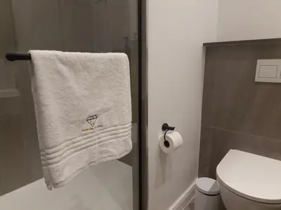 a bathroom with a towel hanging on a shower door at Emerald Studio Menlyn Maine in Pretoria