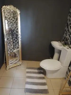 a bathroom with a toilet and a sink and a mirror at Aloha Menlyn Lodge in Pretoria
