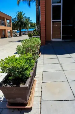 a row of potted plants sitting outside of a building at Masana Hotels in Polokwane