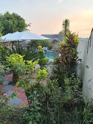 a pool with an umbrella and some plants at Newview bnb and spa in Thulamahashi